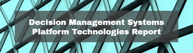 Update to the Decision Management Systems Platform Technologies Report