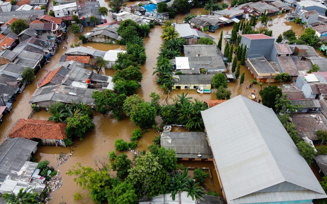 Claims Automation and Flexibility in an Emergency